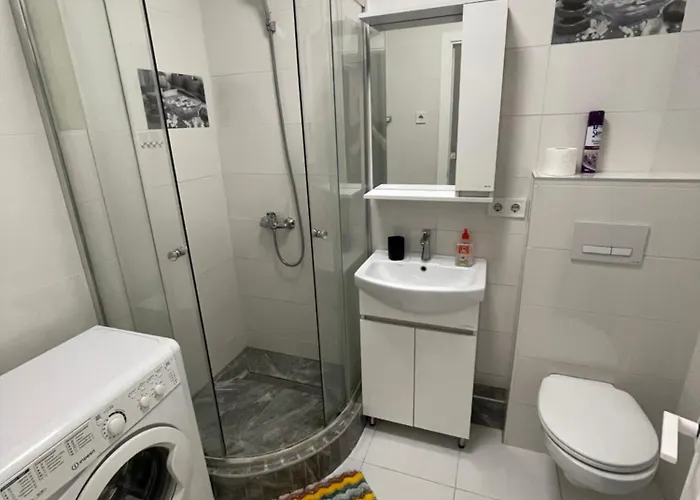 малинки черемушки парк горького アパート *